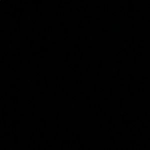 Meet your Posher, Shelby